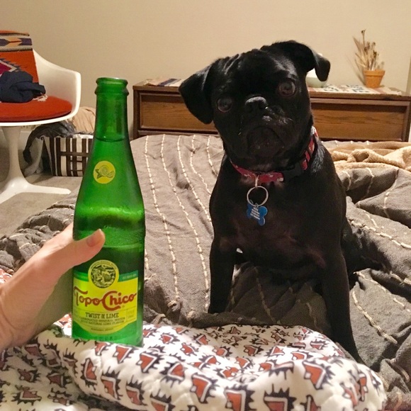 Meet your Posher, Brooke - Picture 1 of 1